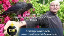Introït Omnia quæ fecisti du 20e dimanche après la Pentecôte - Ermitage Saint-Bède - Ciné Art Loisir