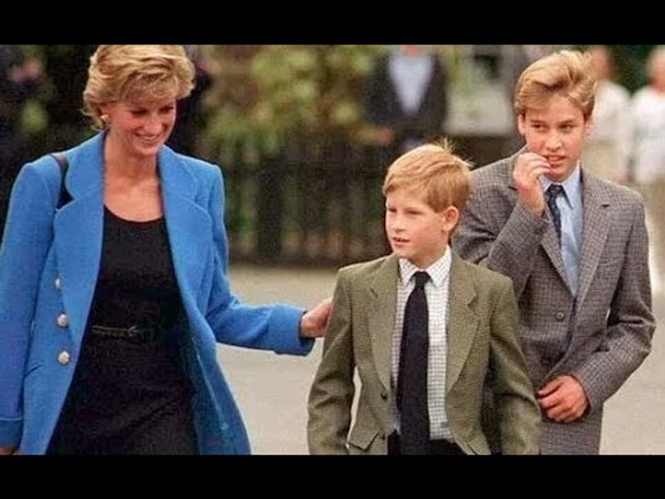 Diana "aurait aidé les princes à faire la paix", dit un ancien garde du corps