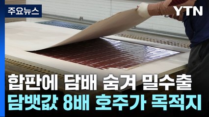 합판에 담배 숨겨 밀수출 시도...목적지는 '담뱃값 8배' 호주 / YTN