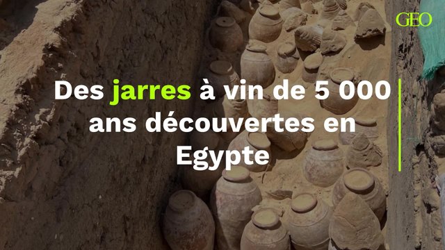 Des jarres à vin de 5 000 ans découvertes en Egypte