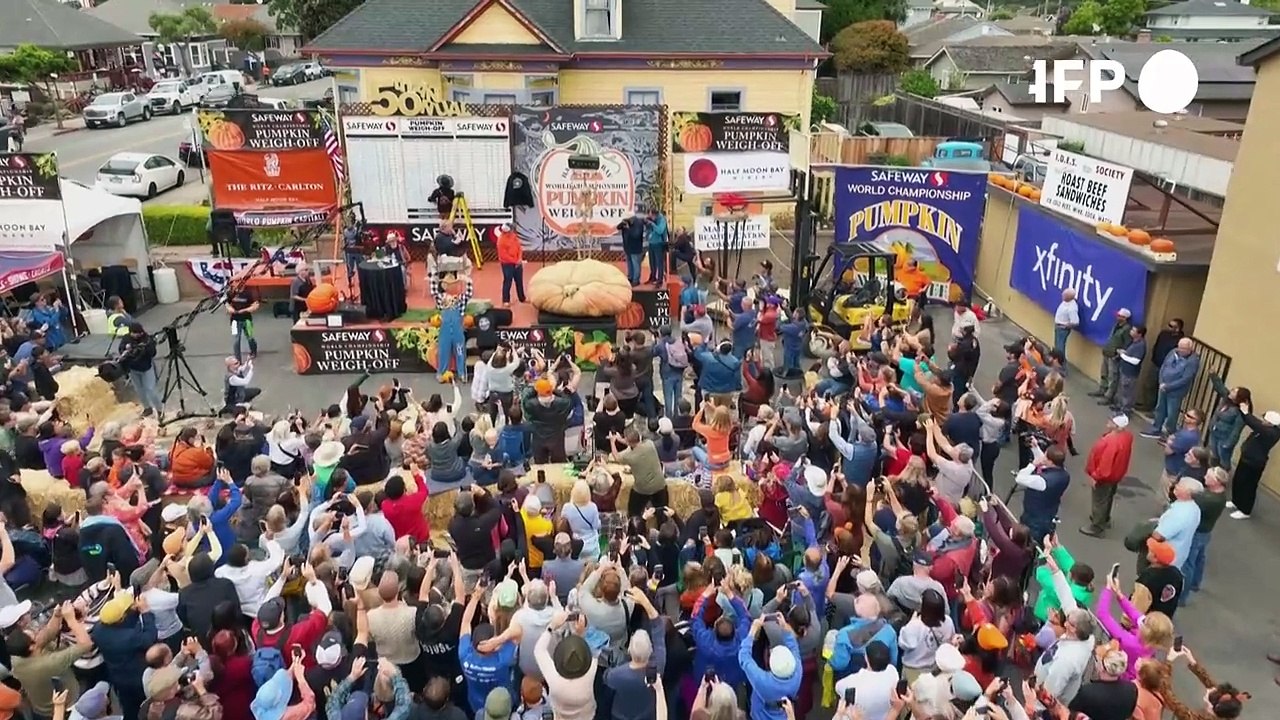 Größter Kürbis der Welt wiegt so viel wie ein Auto