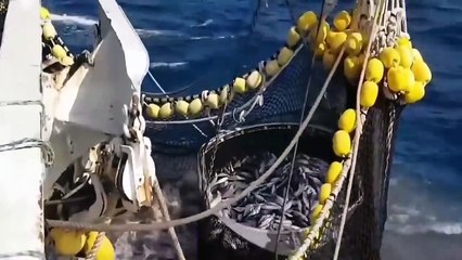 Inilah Teknologi Kapal Untuk Menghadapi Aksi Bajak Laut