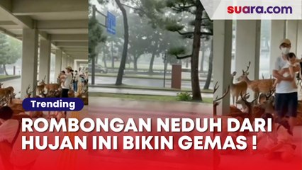 Rombongan yang Sedang Neduh dari Hujan Ini Bikin Warganet Gemas! Nggak Terjadi Selain di Jepang
