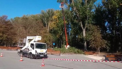 Medio Ambiente sanea ramas secas en el parque de La Quinta