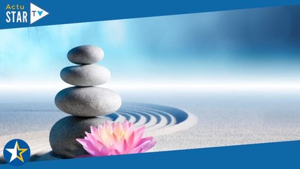 Décoration : apportez de la sérénité à votre intérieur en optant pour un jardin zen !