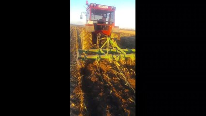 Tümosan 90-80 11 Bacak Patlatan HD