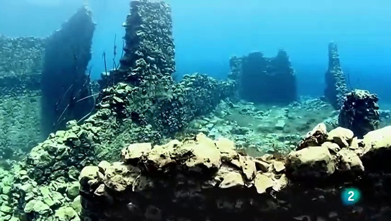 Danubio, el amazonas europeo. De la selva negra al mar negro