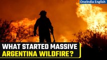 Argentina wildfire: One detained for starting fire, alleges campfire lost control | Oneindia News