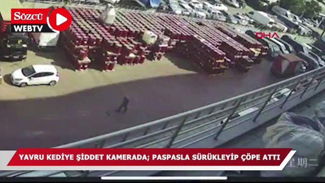 Yavru kediye akılalmaz işkence…