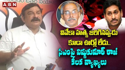 వివేకా హ*త్య జరిగినప్పుడు కూడా ఊర్లో లేడు..సీఎంపై విష్ణుకుమార్ రాజ్ కీలక వ్యాఖ్యలు || ABN Telugu