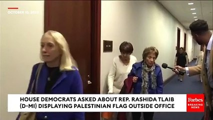 Multiple Democratic Lawmakers Asked About Rashida Tlaib Displaying Palestinian Flag—Here's What They Say