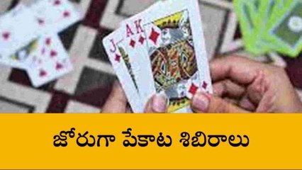 మెదక్: అటవీ ప్రాంతంలో పేకాట శిబిరాలు