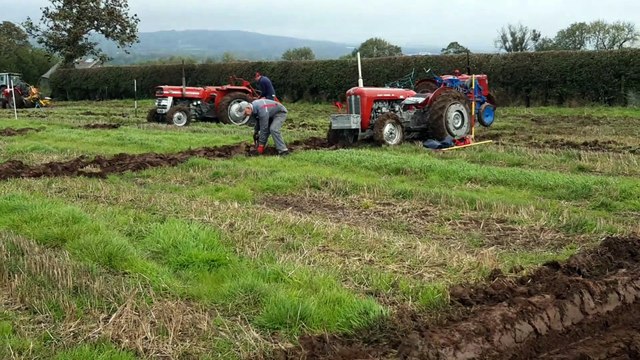 Ploughing underway at 106th Killead Ploughing Society Match