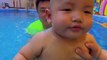 Little Babies Swimming In Pool | Little Baby Funny Reaction On Swimming | Babies Funny Moments #baby #babies #beautiful #cutebabies #fun #love