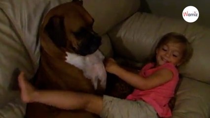 Niña canta para su  bóxer en un vídeo que parte el corazón de medio Internet