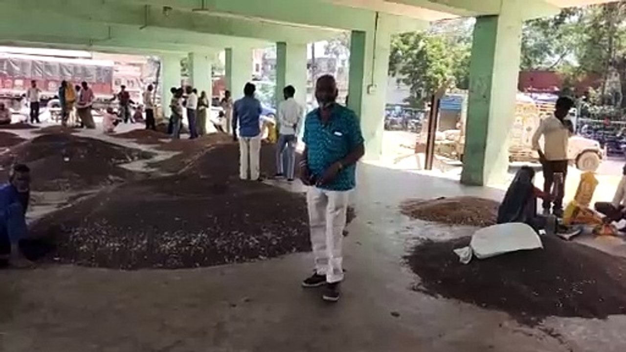 मंडियों में बढऩे लगी जिंसों की आवक, सायोबीन की...