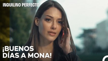 Caos, Confusión Y Ansiedad - Inquilino Perfecto Capítulo 1