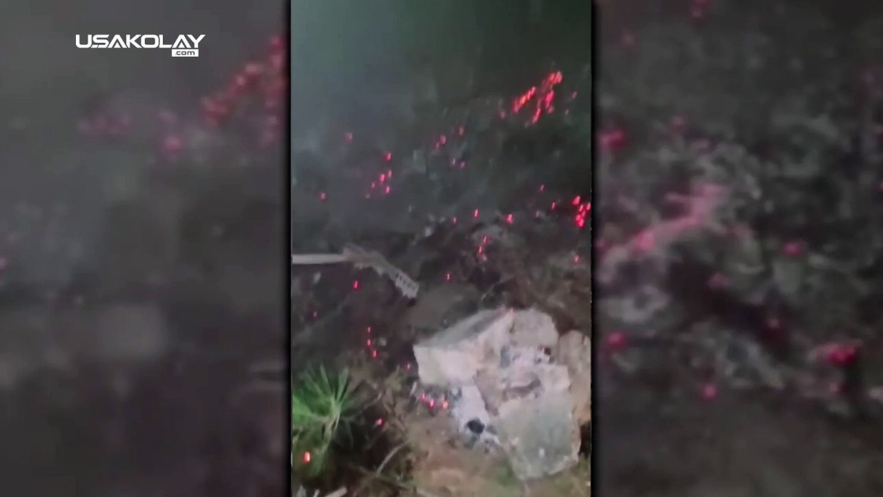 Uşak Facia'dan kıl payı kurtulundu! Magandalar ormanı yakacaklardı