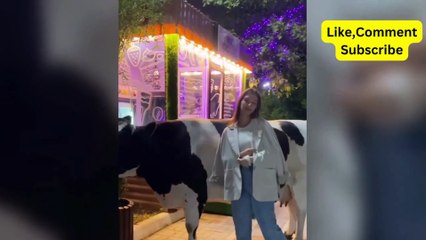 Best Funny Videos  - People Being Idiots |  Try Not To Laugh - BY FunnyTime99 ️