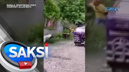 Aso sa Koronadal, pinaghahampas at pinugutan; suspek na umamin sa ginawa, arestado | Saksi