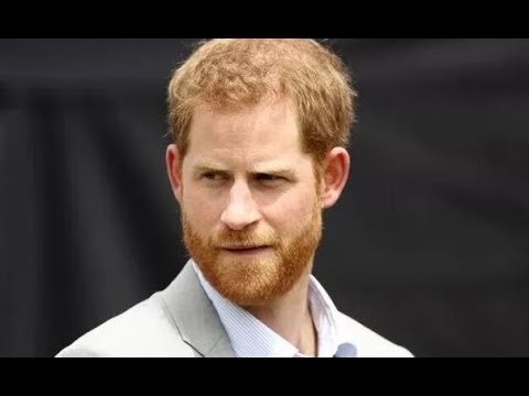 Le prince Harry a parcouru les réseaux sociaux pour des commentaires sarcastiques tous les soirs lo