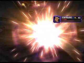 Pokémon Colosseum online multiplayer - ngc