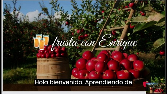 Los Beneficios Ocultos de la Cebolla para Tu Salud