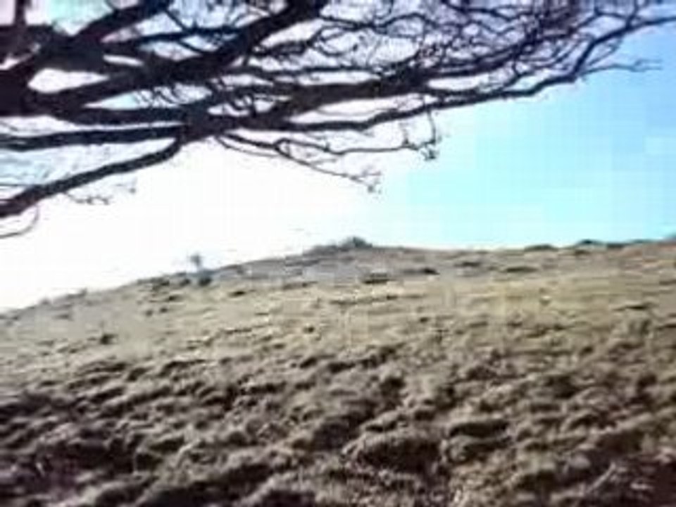 Ascension du Puig des Quatre Termes