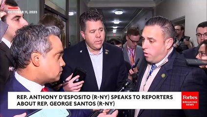 'He’s Not Fit To Serve': GOP House Lawmaker Roasts George Santos As 'Stain On Our State'