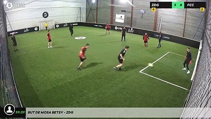 But de Mosa Betsy - ZDG