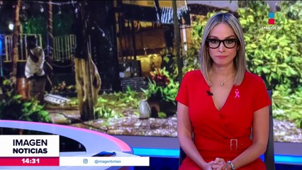 “Lidia” se ha convertido en el huracán de más rápida intensificación