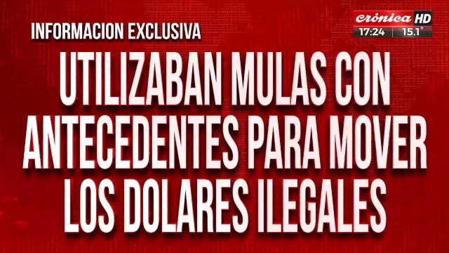 Utilizaban mulas con antecedentes para mover los dólares ilegales