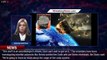 NASA reveals 'incredible' findings from asteroid that could explain origins