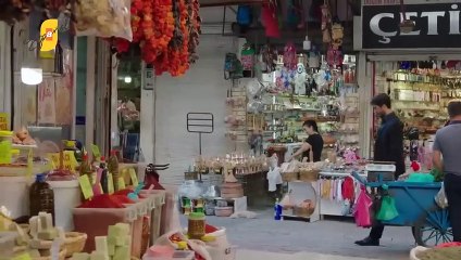 49. Herida del Corazon (Kalp Yarasi), en español