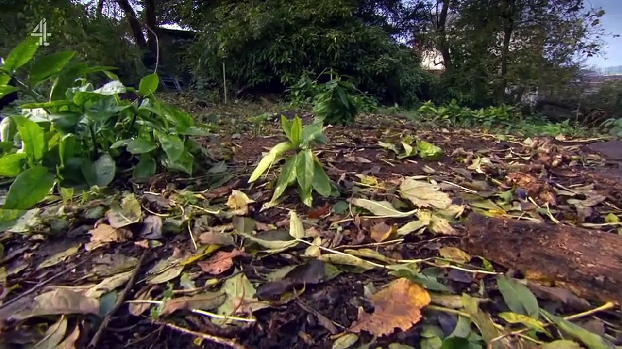 Grand Designs S24E03 - Oct 11, 2023