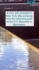 Man jumps into reflecting pool at 9/11 Memorial in New York City