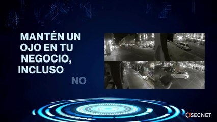 Protege Tu Negocio: Descubre Nuestros Servicios de Ciberseguridad"