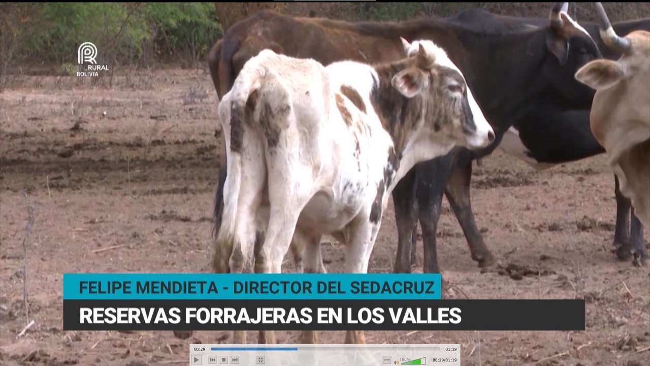 Programa de reservas forrajeras en los valles