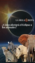 ¿Cómo afectará el Eclipse a los animales?