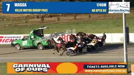 `My Sweet Sabrina wins at Wagga