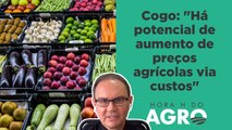 Israel: Nova guerra vai fazer o preço dos alimentos disparar? | HORA H DO AGRO