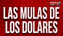 Detención en el barrio chino: dolar, mafia y millones