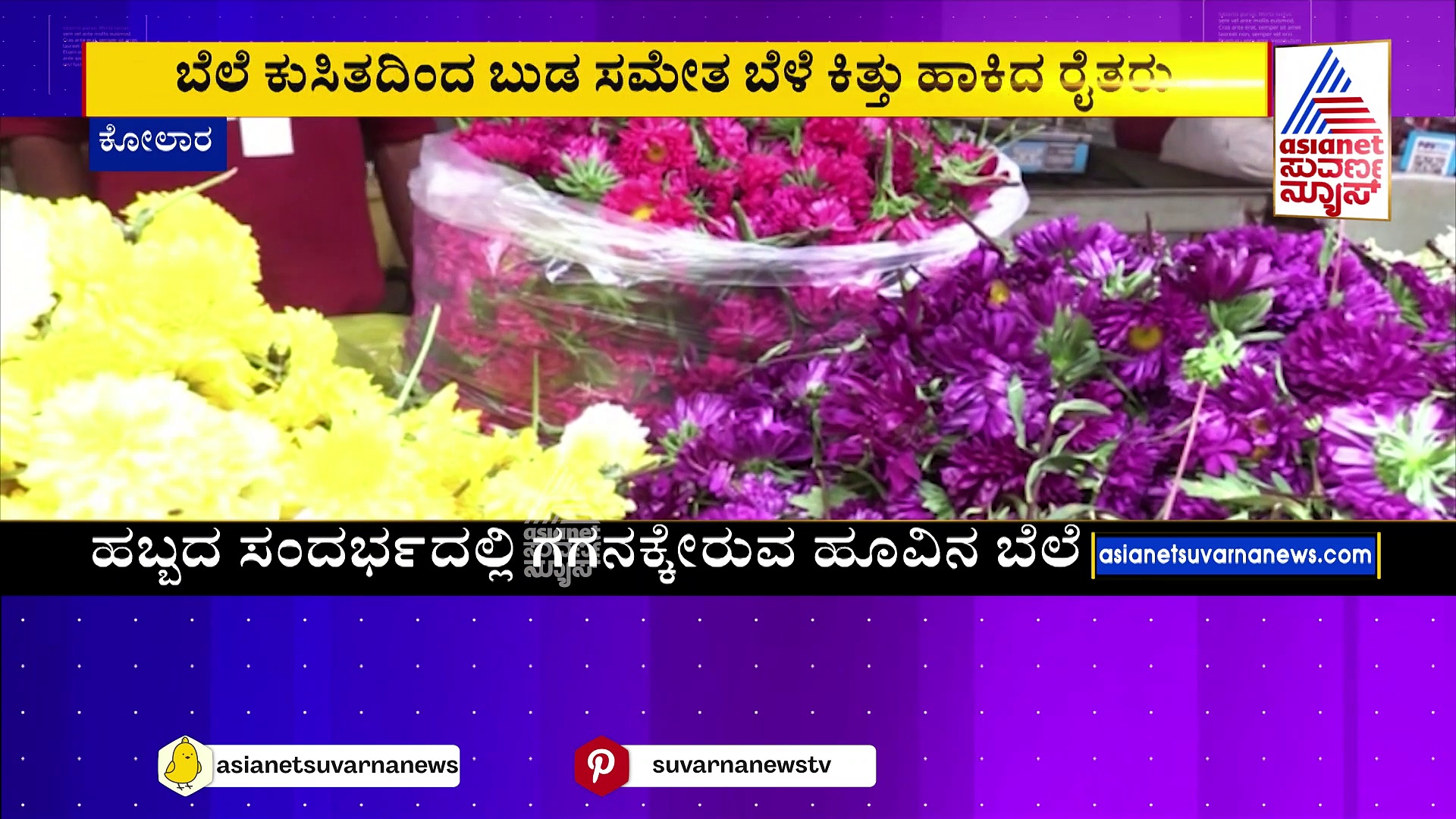 ಬರದ ನಡುವೆ ಅನ್ನದಾತನಿಗೆ ಬರ ಸಿಡಿಲು: 3 ವರ್ಷದಿಂದ ಬಂಡವಾಳ ಬಾರದೇ ರೋಸಿ ಹೋದ ರೈತ