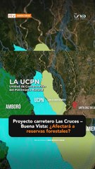 Proyecto carretero Las Cruces – Buena Vista: ¿Afectará a reservas forestales?
