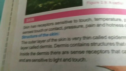 Chapter two sense organs skin.