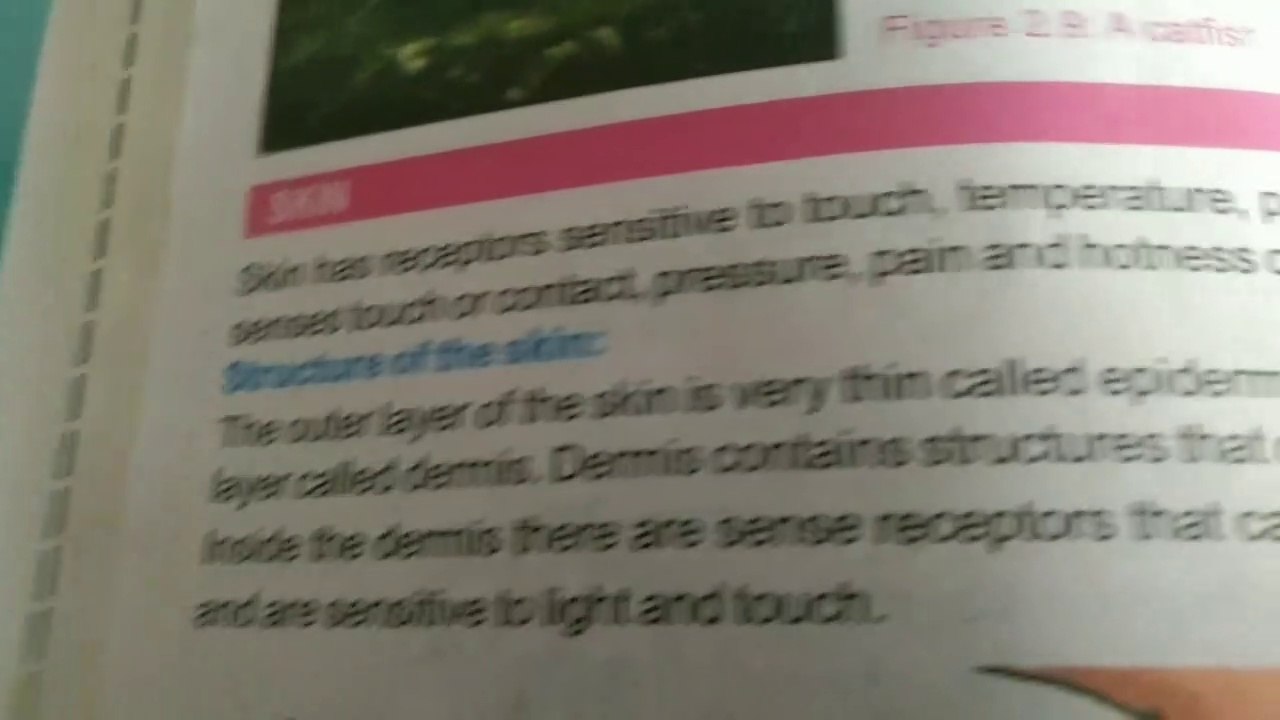 Chapter two sense organs skin.