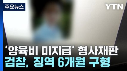 [취재앤팩트] 양육비 안 준 '나쁜 아빠'...첫 실형 나올까? / YTN