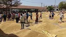 Waiting for the auction, farmers spending the night in the market