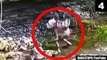 15 Scary Videos Leaving Viewers Shocked & Confused