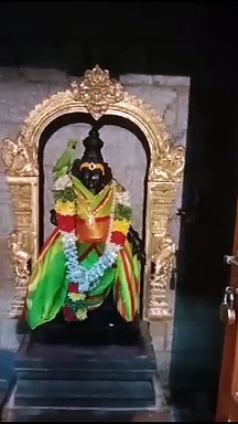 மதுரையில் மீனாட்சி அம்மன் சிலை மீது அமர்ந்து அம்மனை கொஞ்சி மகிழ்ந்த பச்சை கிளி; பக்தர்கள் பரவசம்